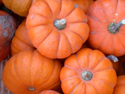 pumpkins_400